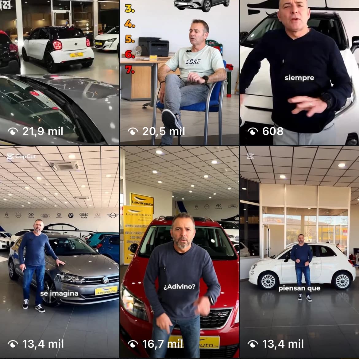 Levanauto video view results